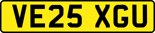 VE25XGU