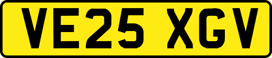 VE25XGV