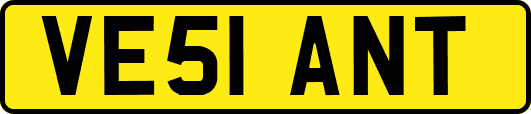 VE51ANT