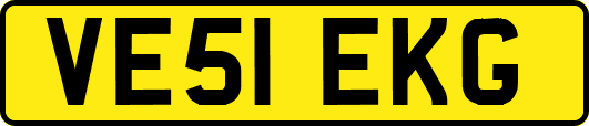 VE51EKG