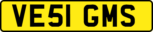 VE51GMS
