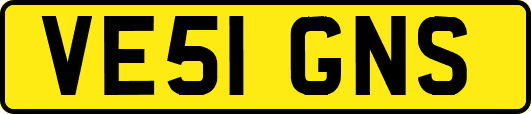 VE51GNS