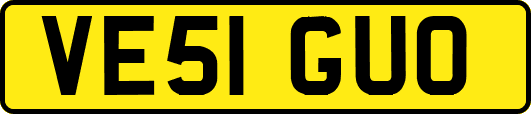 VE51GUO