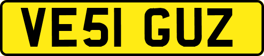VE51GUZ