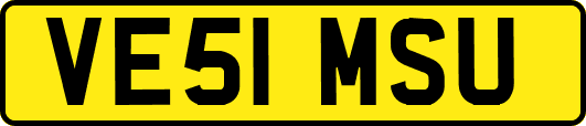 VE51MSU