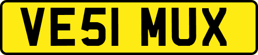 VE51MUX
