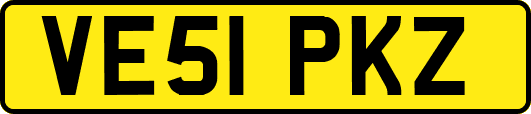 VE51PKZ