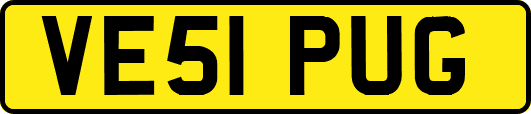 VE51PUG