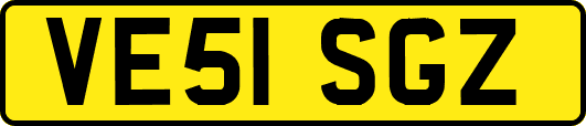 VE51SGZ