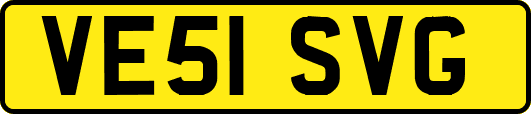 VE51SVG