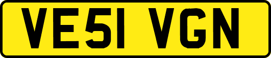 VE51VGN