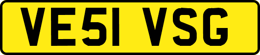 VE51VSG