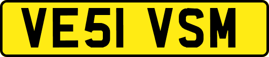 VE51VSM