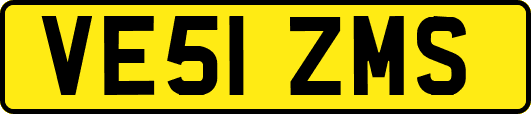 VE51ZMS