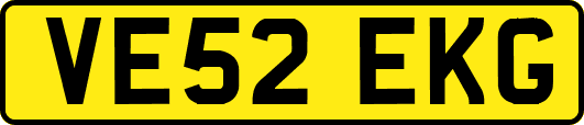 VE52EKG