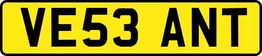 VE53ANT