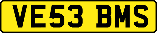 VE53BMS