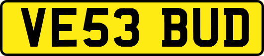 VE53BUD