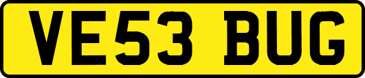VE53BUG