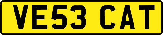 VE53CAT