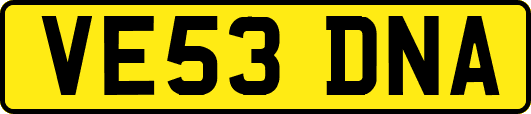 VE53DNA