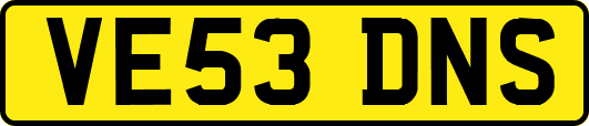 VE53DNS