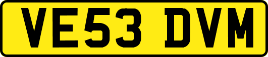 VE53DVM
