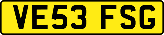 VE53FSG