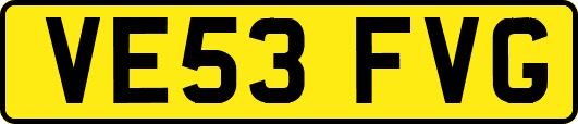 VE53FVG