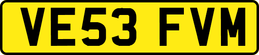 VE53FVM