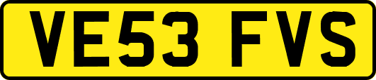 VE53FVS