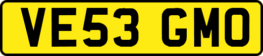 VE53GMO