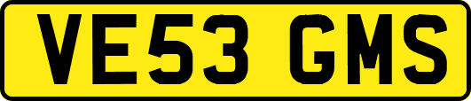 VE53GMS