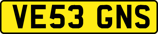 VE53GNS