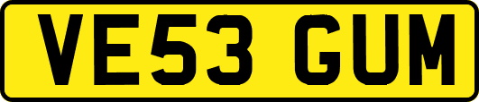 VE53GUM