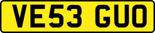 VE53GUO