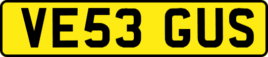 VE53GUS
