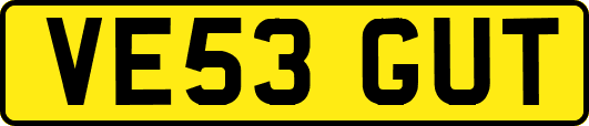 VE53GUT