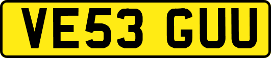 VE53GUU