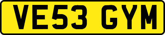 VE53GYM
