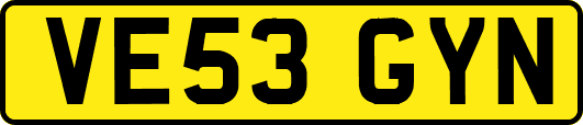 VE53GYN