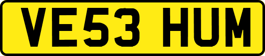 VE53HUM