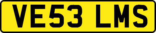 VE53LMS