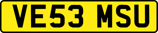 VE53MSU
