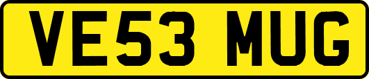 VE53MUG