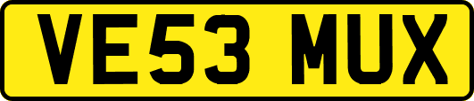 VE53MUX