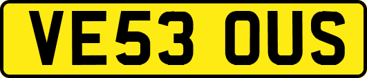 VE53OUS