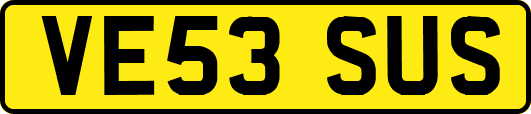 VE53SUS