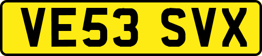VE53SVX