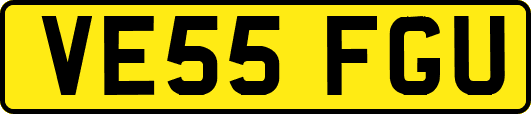 VE55FGU
